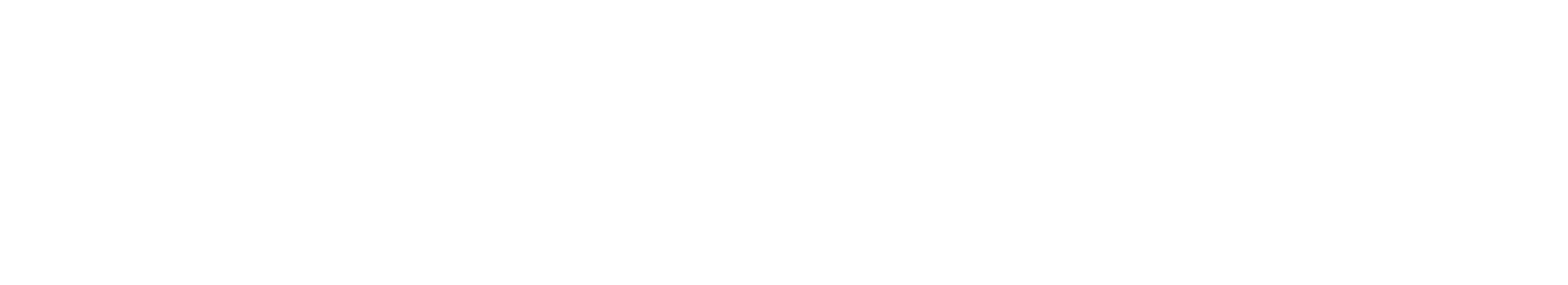 03_TLBS_Logo_HT_white